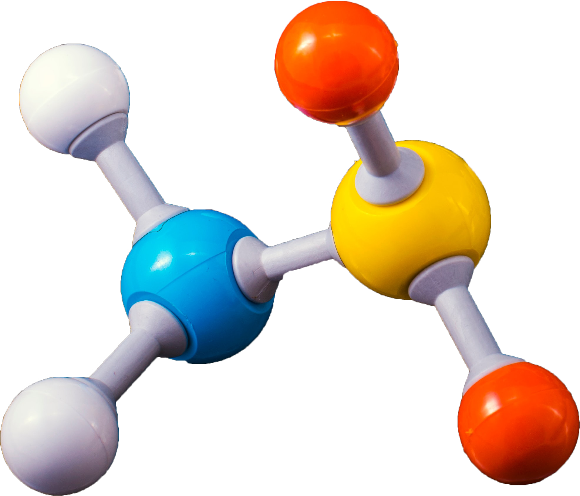 Weight Loss Molecules